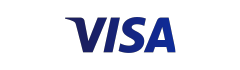 visa, e-commerce, boutique, 2.0, produit, digitale, activité, paiements, sécurisés